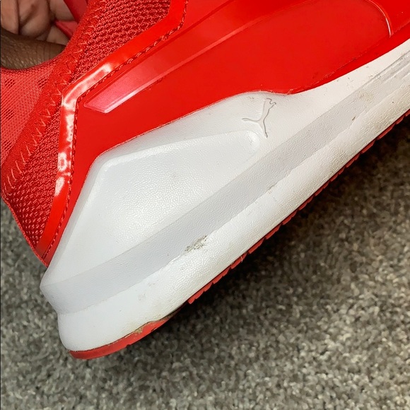 Red Pumas - Picture 5 of 5